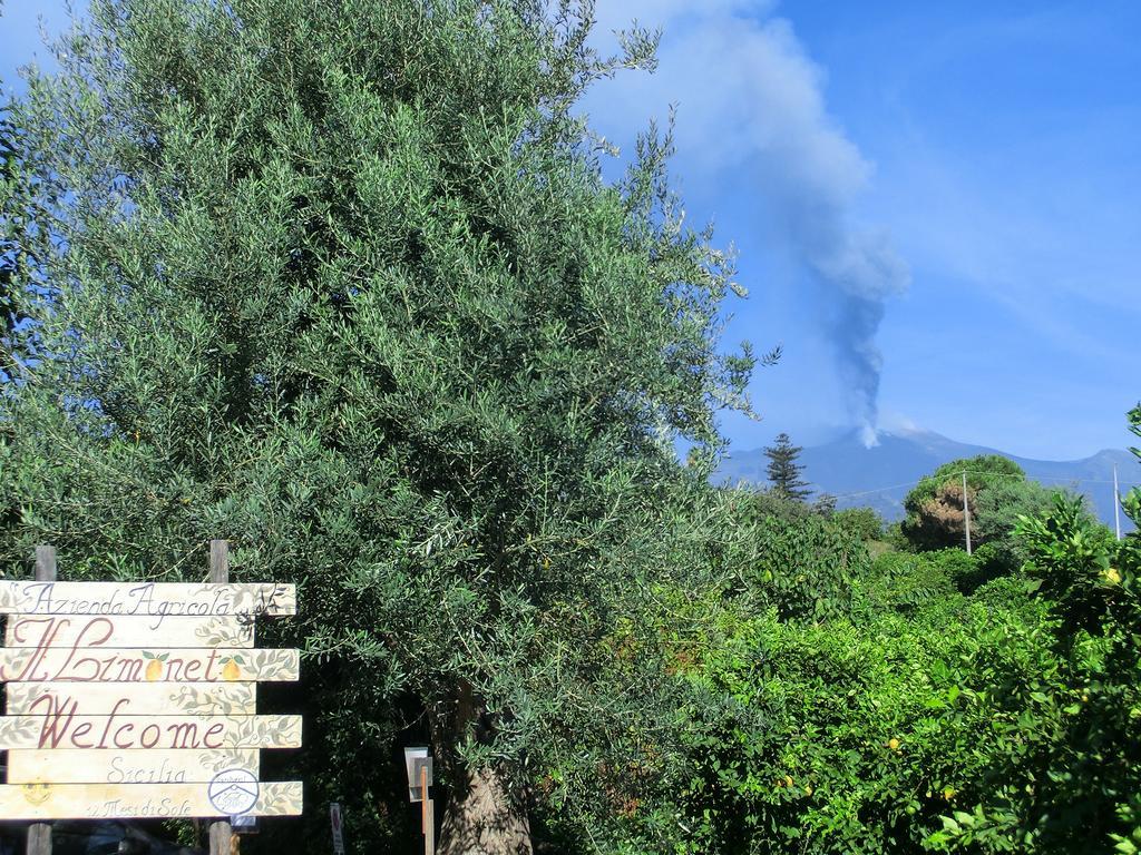 Villa Il Limoneto Acireale Exterior foto