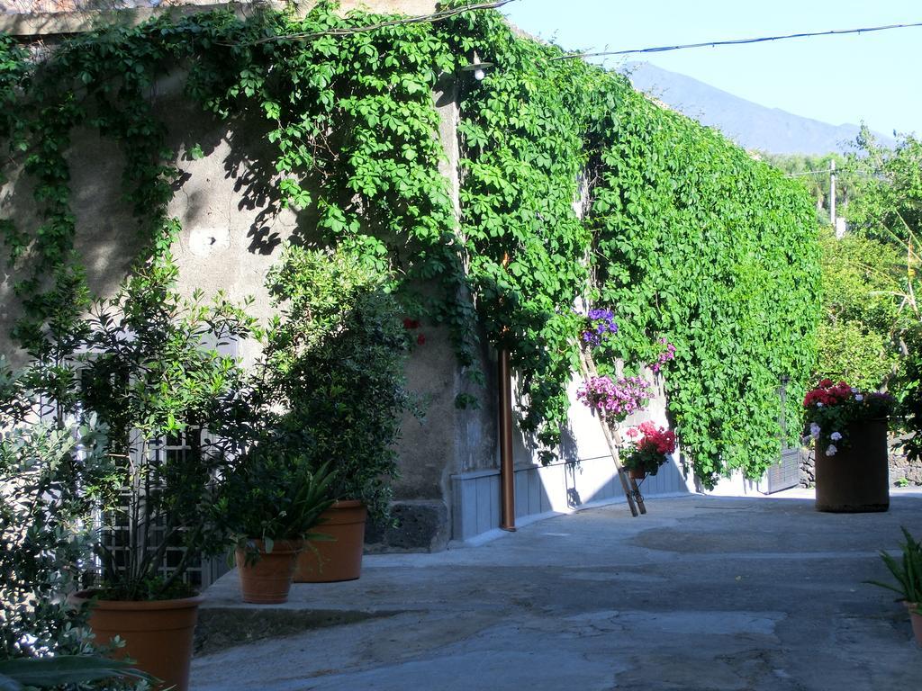 Villa Il Limoneto Acireale Exterior foto